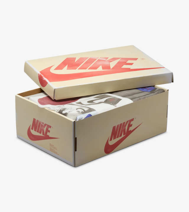 Air Jordan 1 High OG 'Rare air' (donna)