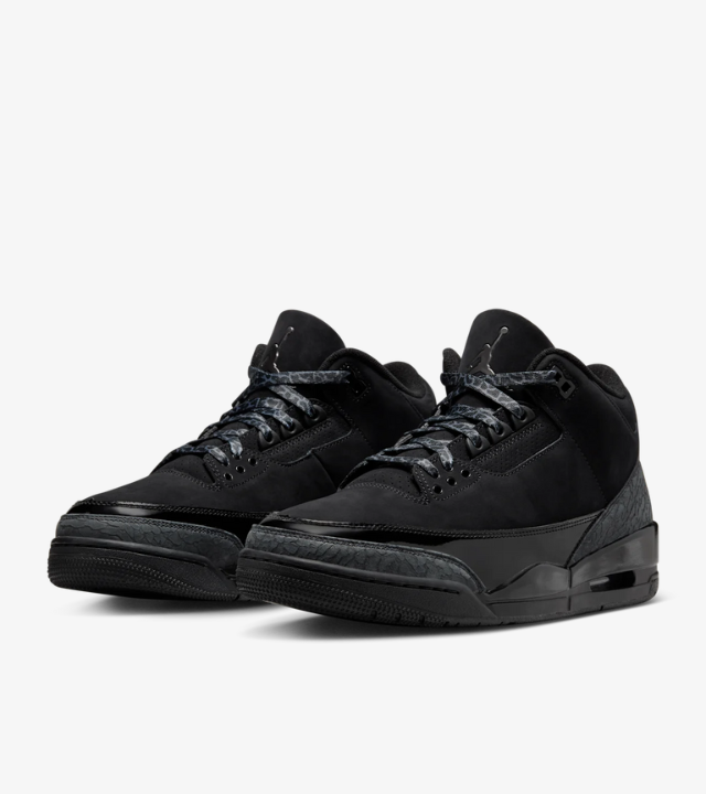 Air Jordan 3 Black Cat