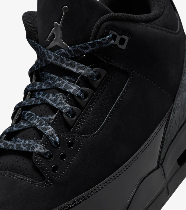Air Jordan 3 Black Cat