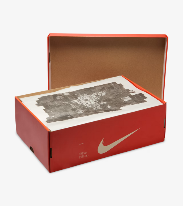 Nike Dunk Low x Stranger Things