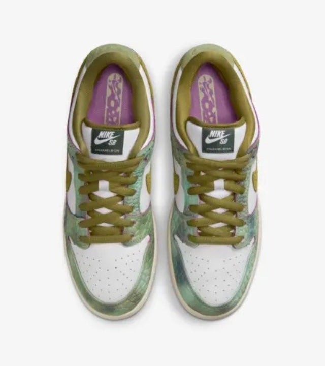 Nike SB Dunk Low Chameleon x Alexis Sablone